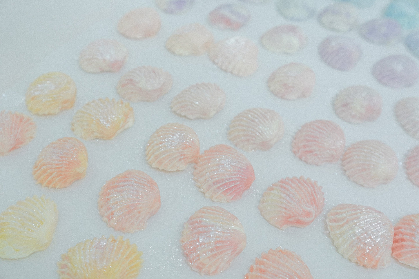 Seashells Soap 貝殼皂