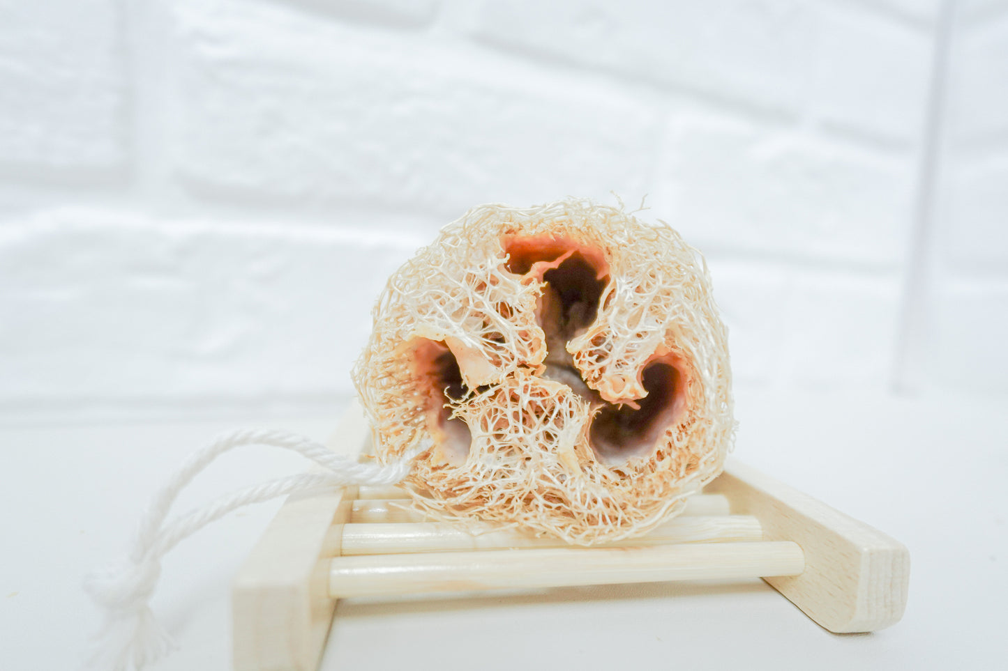 Camellia Seed Loofah Household Soap 茶樹籽絲瓜絡家事皂